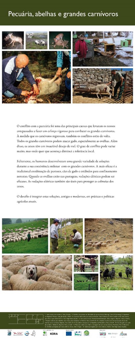 17. Livestock farming, bees, and large carnivores	
